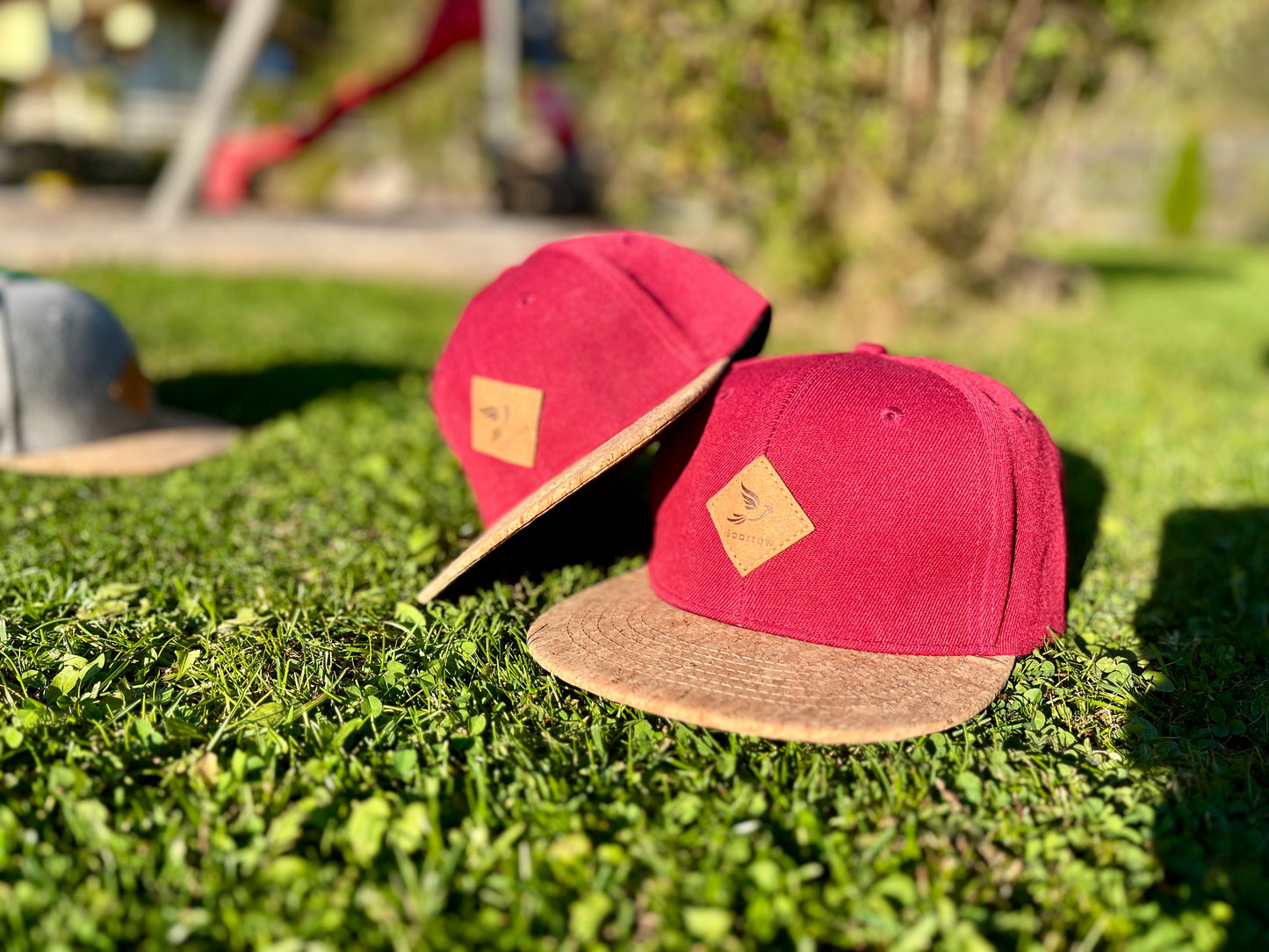 Sparrow Cap Rot Adult