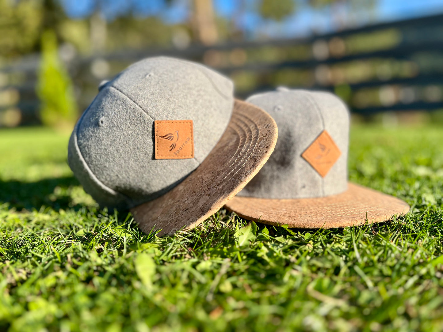 Sparrow Cap Grau Adult